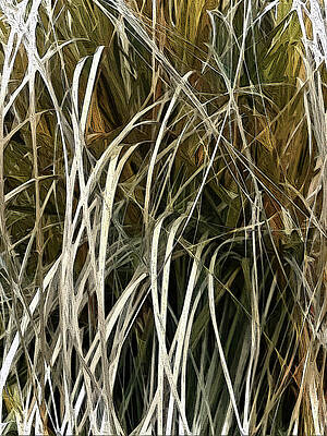 Nature Wall Art featuring the digital art Winter Whites by Gina Harrison