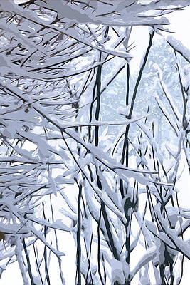 Tree Digital Art - Wintertide by Gina Harrison
