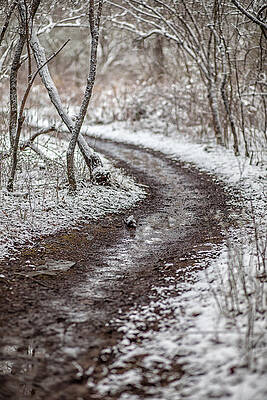 Pennsylvania Wall Art featuring the photograph Winter Way by Todd Wilkinson