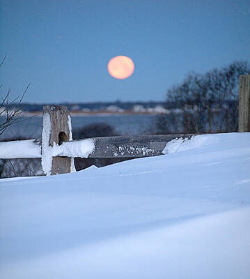 Wall Art featuring the photograph Wolf Moon I I by Robert Newman