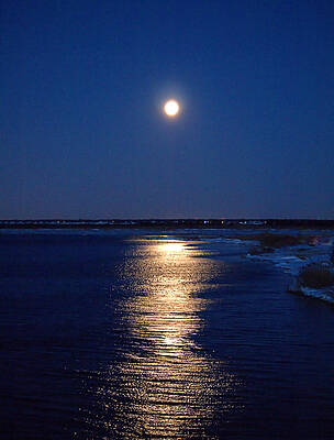 Reflection Photograph - Wolf Moon I V by Robert Newman