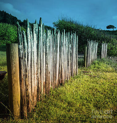 Wall Art featuring the photograph Wood Rail Fence Mendocino County by Blake Webster