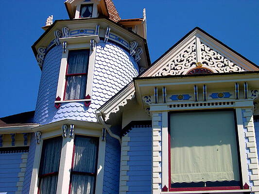 Washington Photograph - Wooden Lace by C Thomas Cooney