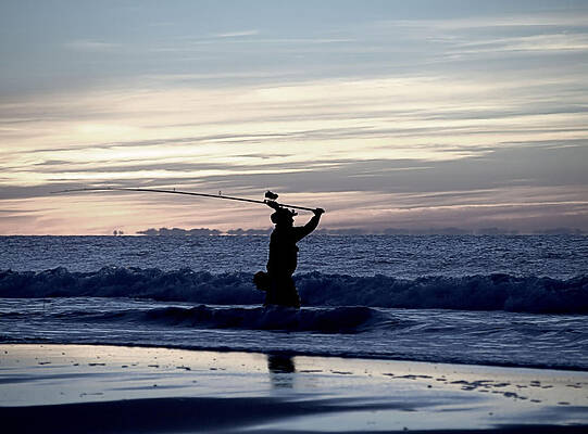 Wall Art featuring the photograph Working by Robert Newman