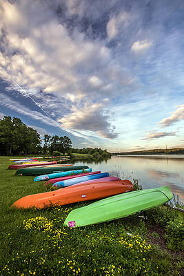 Pennsylvania Wall Art featuring the photograph Yak Attack #2 by Todd Wilkinson