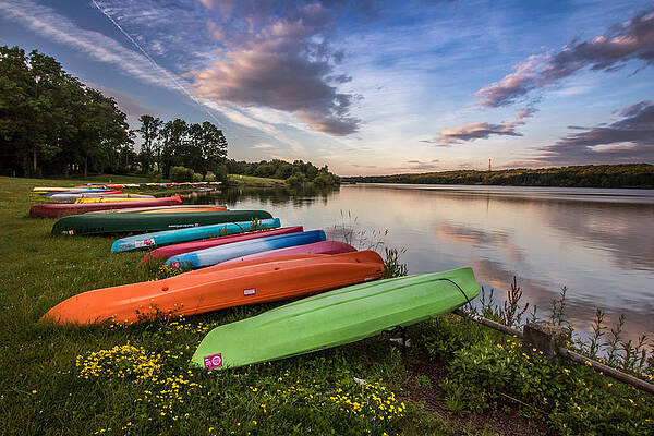 Pennsylvania Wall Art featuring the photograph Yak Attack by Todd Wilkinson
