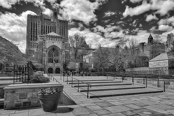 Historic Gothic Architecture Wall Art