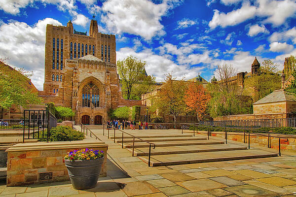 Yale University Library Campus View Wall Art