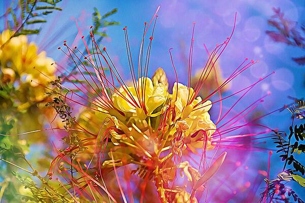 Vibrant Photograph - Yellow Flowers by Tatiana Travelways
