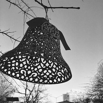 Tree Wall Art featuring the photograph You Can Ring My Bell by Onedayoneimage Photography