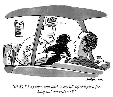 Wildlife Drawing - You Get A Free Baby Seal Covered In Oil by Joe Dator