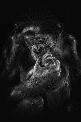 Wall Art featuring the photograph Your Hand In Mine by Ghostwinds Photography