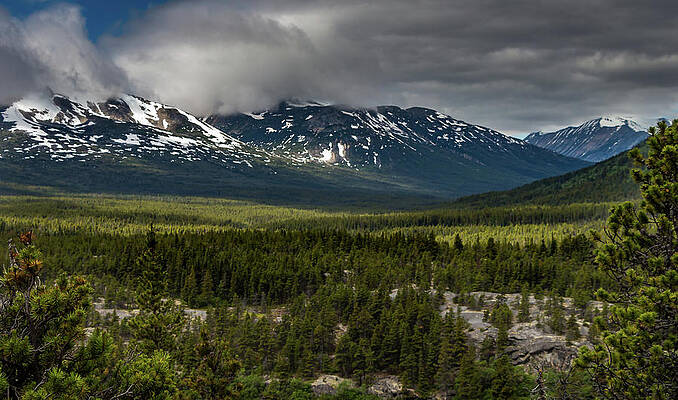 Photograph - Yukon Wilderness by Ed Clark