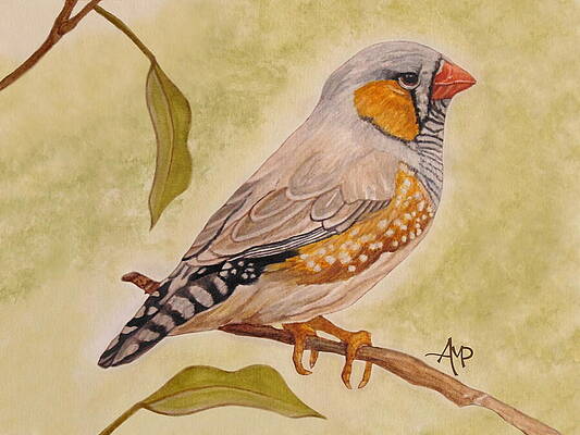 Zebra Finch on a Branch Wall Art