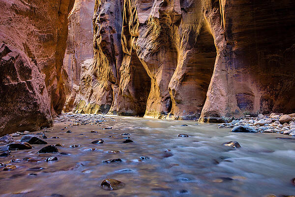 Wall Art featuring the photograph Zion Canyon Gorge by Adam Mateo Fierro