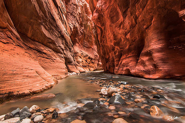 Wall Art featuring the photograph Zion Narrows by Russell Wells