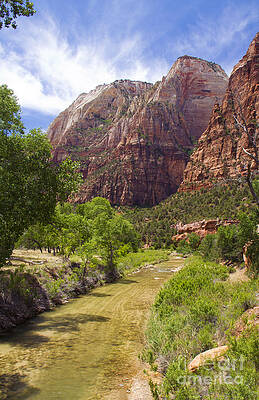 Wall Art featuring the photograph Zion Park Utah #2 by Waterdancer