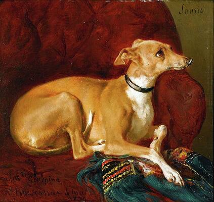 Dog Painting - A Greyhound Resting On A Chair by Jacques Raymond Brascassat