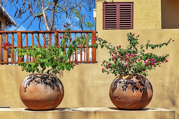 Facade Wall Art featuring the digital art Adobe Facade, Outdoor Planters. #1 by Claudia Uripos
