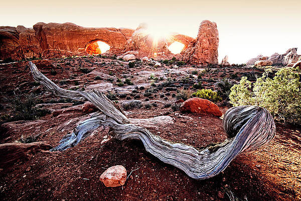 National Parks Wall Art featuring the digital art Arches National Park, Utah #1 by Maurizio Rellini