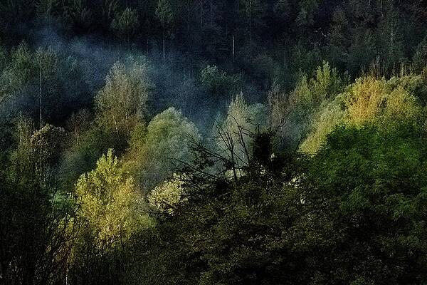 Landmark Photograph - Autumn Morning In Slovenia #1 by Robert Grac