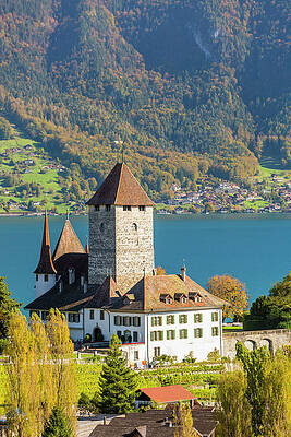 Wall Art featuring the digital art Bern, Spiez Castle And Lake Thun #1 by Sebastian Wasek