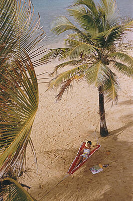 Relaxing in a Beach Hammock Wall Art