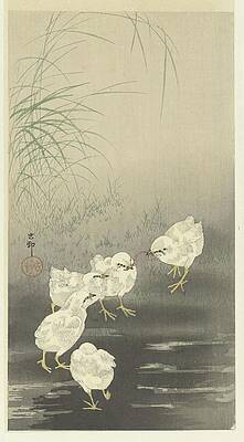 Flock Painting - Chicks And Worm by Ohara Koson