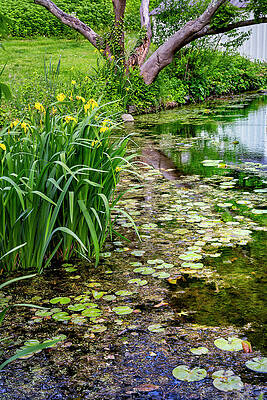 Nature Wall Art featuring the digital art Clayton-cedarmere Estate, Ny #1 by Lumiere