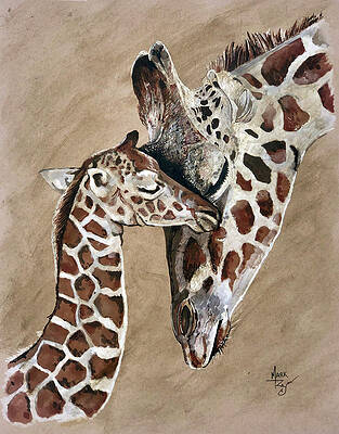 Comfort #1 Print
