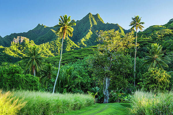 Paradise Wall Art featuring the digital art Cook Islands, Rarotonga, South Seas #1 by Reinhard Schmid