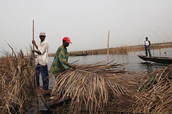 Wall Art featuring the photograph Daily Life In And Around Cotonou #1 by Dan Kitwood