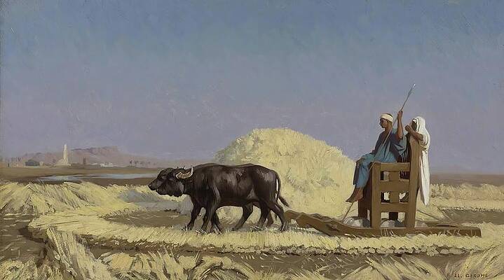 Jean Leon Gerome Painting - Egyptian Grain-cutters by Jean-leon Gerome