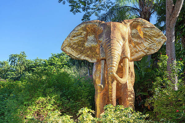 Wall Art featuring the digital art Elephant Statue, Miami Zoo, Fl #1 by Laura Zeid