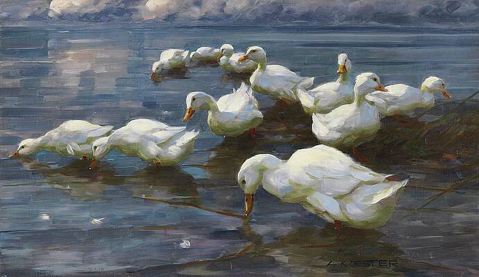 Flock Painting - Enten Am Seeufer by Alexander Koester