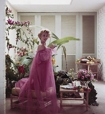 Elegant Lady in Pink Gown Wall Art