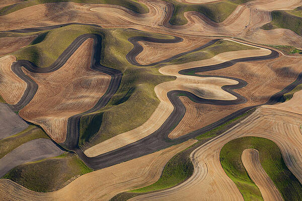 Flowing Patterns of Farmland Wall Art