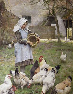 Feeding Chickens on a Farm Painting