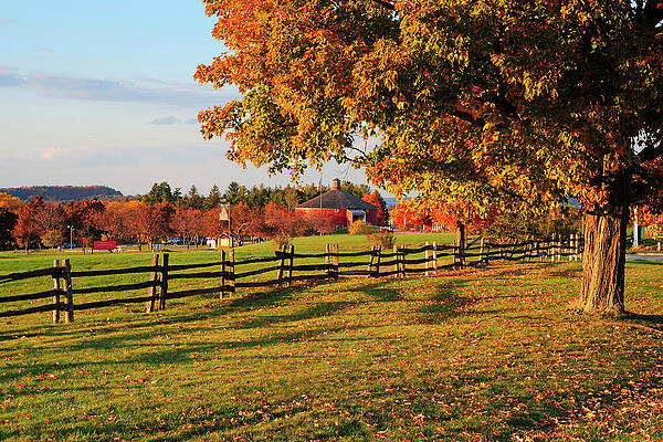 North America Wall Art featuring the digital art Field With Fence, Shelburne, Vt #1 by Stephen G. Donaldson