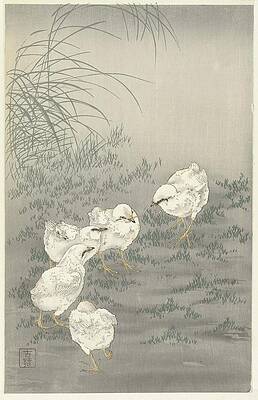 Chicken Painting - Five Chicks by Ohara Koson