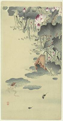 Frog and Tadpoles by Ohara Koson Painting