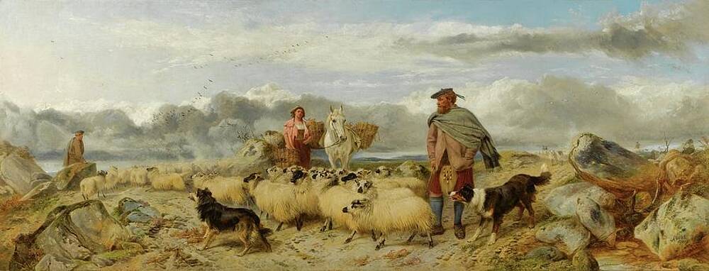Flock Painting - Gathering The Flock by Richard Ansdell