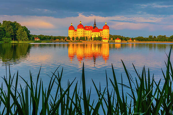 Wall Art featuring the digital art Germany, Saxony, Moritzburg, Moritzburg Castle At Dusk #1 by Olimpio Fantuz