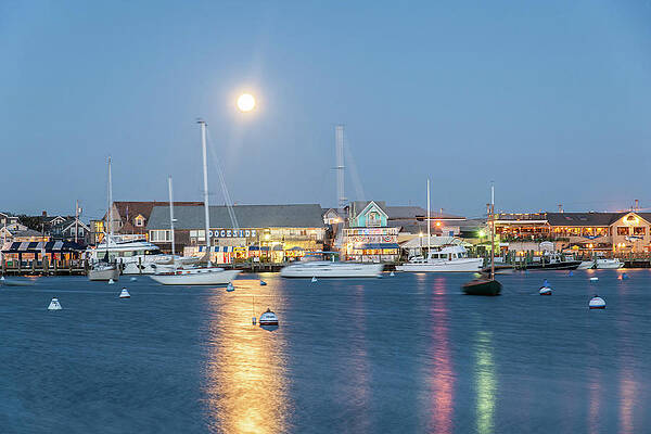 Building Wall Art featuring the digital art Harbor At Martha's Vineyard #1 by Guido Cozzi
