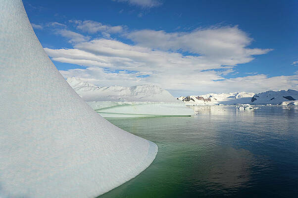Wall Art featuring the photograph Holtedehl Bay, Antarctic Peninsula #1 by Eastcott Momatiuk