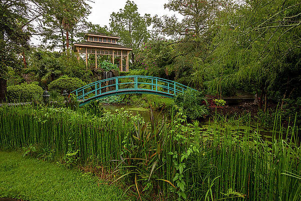 U S Wall Art featuring the digital art Houmas House Garden, Darrow, La #1 by Claudia Uripos