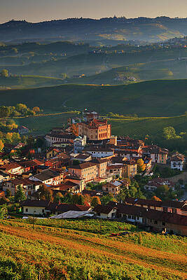Country Wall Art featuring the digital art Italy, Piedmont, Cuneo District, Strada Del Tartufo Bianco, Colline Del Barolo, Langhe, Barolo, View Towards The Village And Its Castle Surrounded By Nebbiolo Da Barolo Vineyards #1 by Riccardo Spila