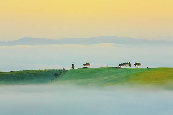 Foggy Wall Art featuring the digital art Italy, Tuscany, Siena District, Orcia Valley, Foggy Morning Near Montalcino #1 by Maurizio Rellini