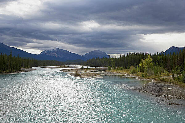 Landscape At Athabasca River, Jasper National Park, Rocky Mountains, Alberta, Canada #1 Print