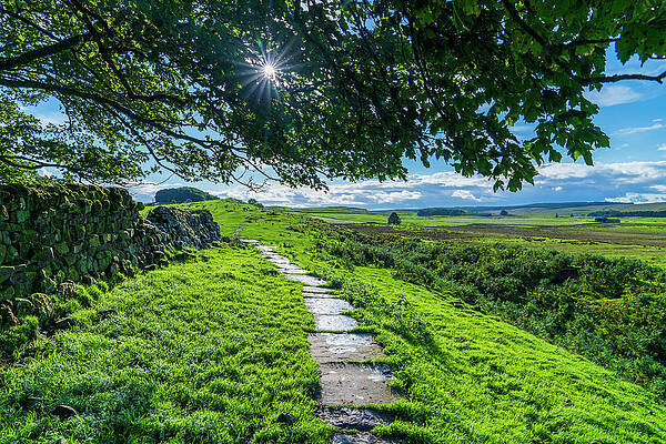 British Wall Art featuring the digital art Landscape With Stone Wall #1 by Sebastian Wasek